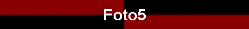 Foto5